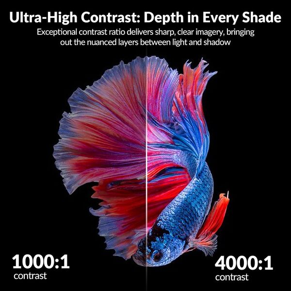 Moniteur Gaming Courbé 34 Pouces 4K 165Hz 1500R HDR10 FreeSync 4000:1 Support Installation Rapide Large Gamme Couleurs