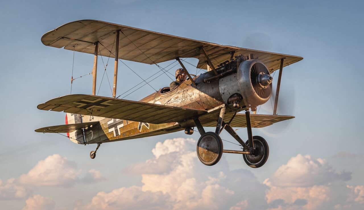 L'albatros d.v dans la culture populaire