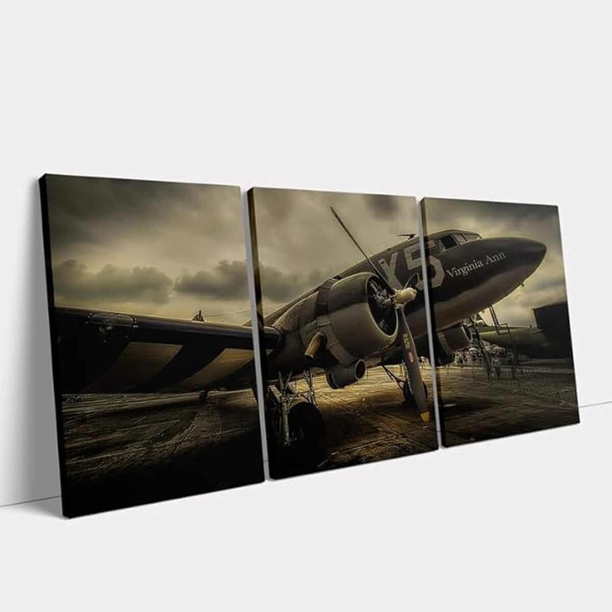 Avis : toiles murales vintage avion Kawahone