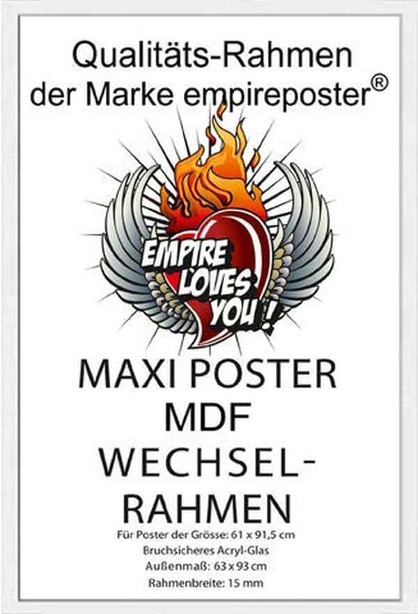 Découvrez notre avis complet sur le poster Empire « Avions de la Première Guerre mondiale » Aircraft 2 Maxi Weiss : qualité, design et authenticité de ce décor incontournable pour passionnés d'histoire. 