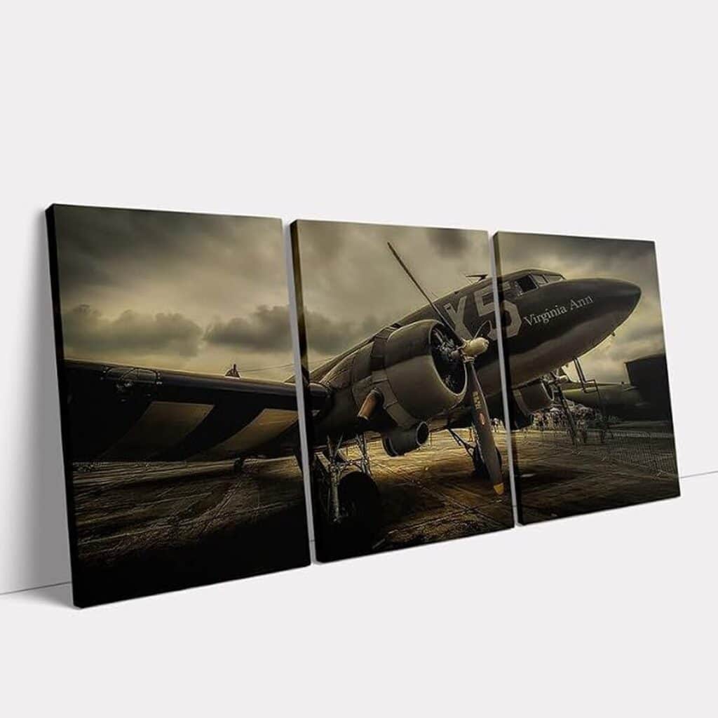 Avis sur les toiles murales vintage avion Kawahone