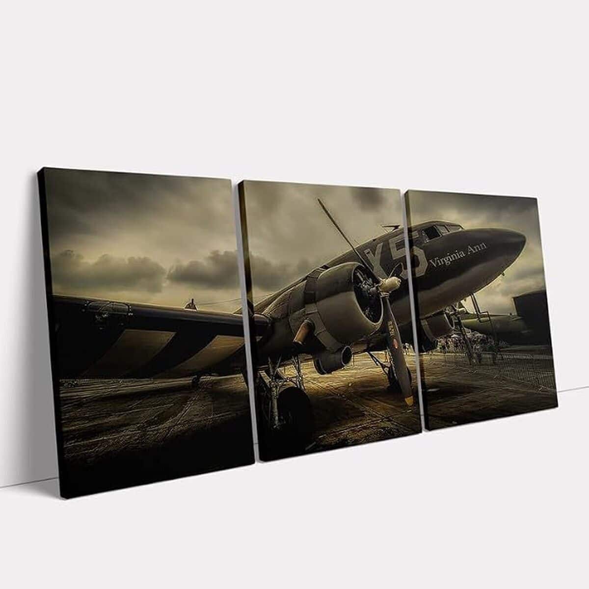 Avis sur les toiles murales vintage avion Kawahone
